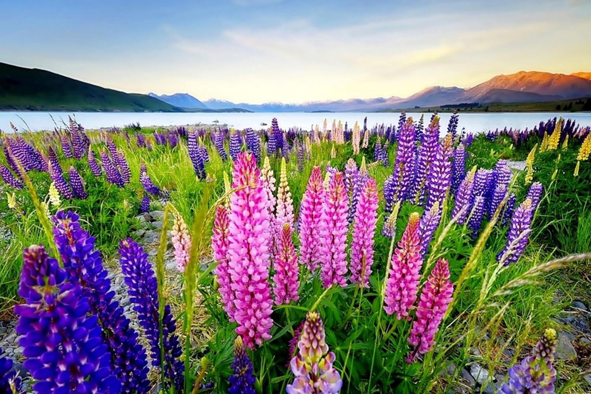 Tekapo1929 - Pioneer Cottage เลคเทคาโป ภายนอก รูปภาพ